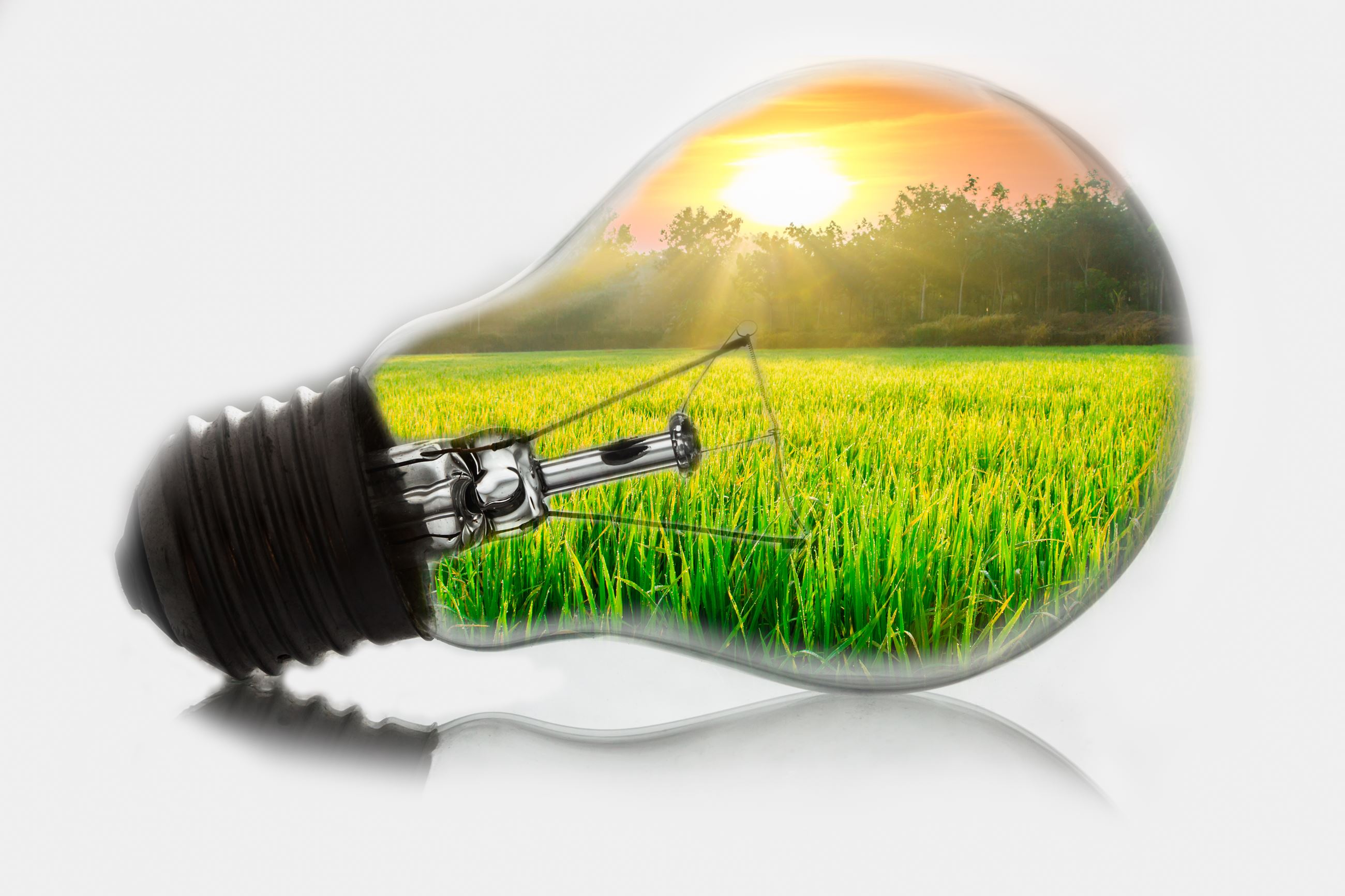 Agriculture Innovation Grant