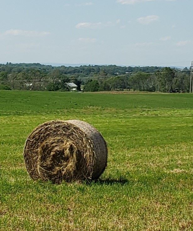image shows a bale of hay