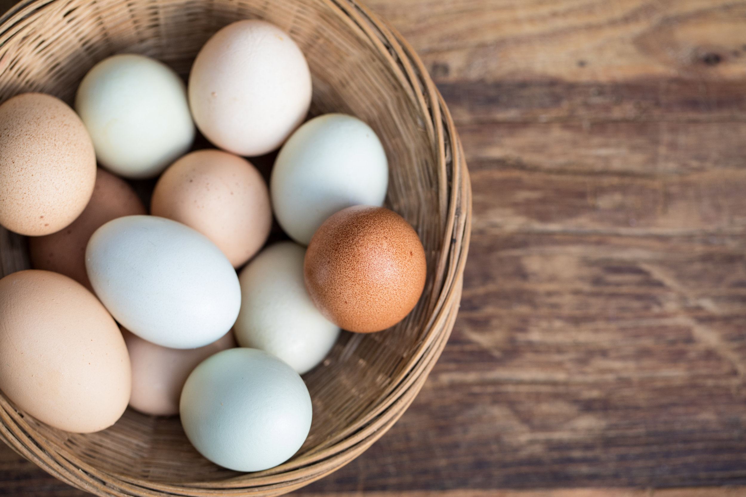 071017-Little-Gunpowder-Farm-CF2T-0045