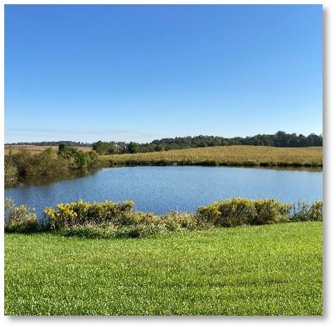 Landscape view of pond and sky.