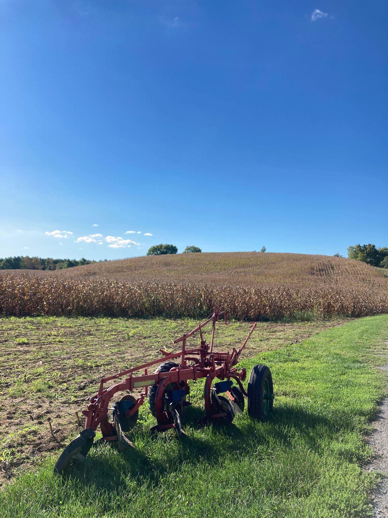 Hipkins Plow_ Field_MALPF