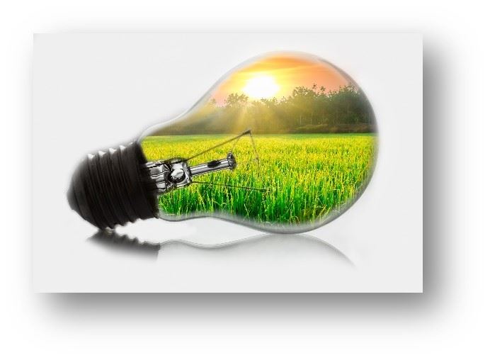 Graphic of a light bulb with green grass within it
