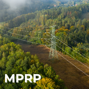 Image of power transmission lines cutting through a field and forest.