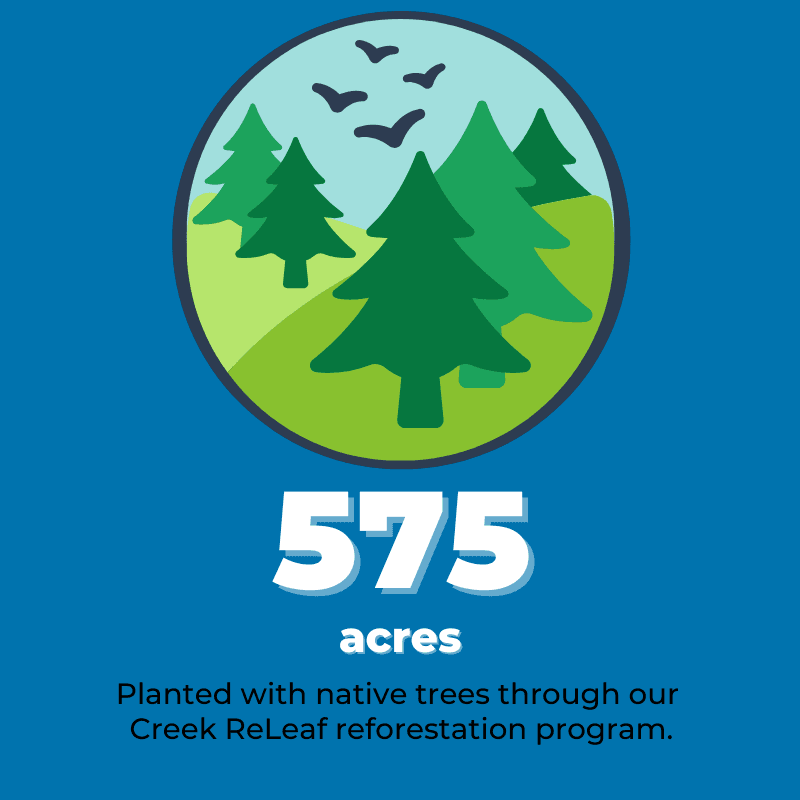 575 acres reforested