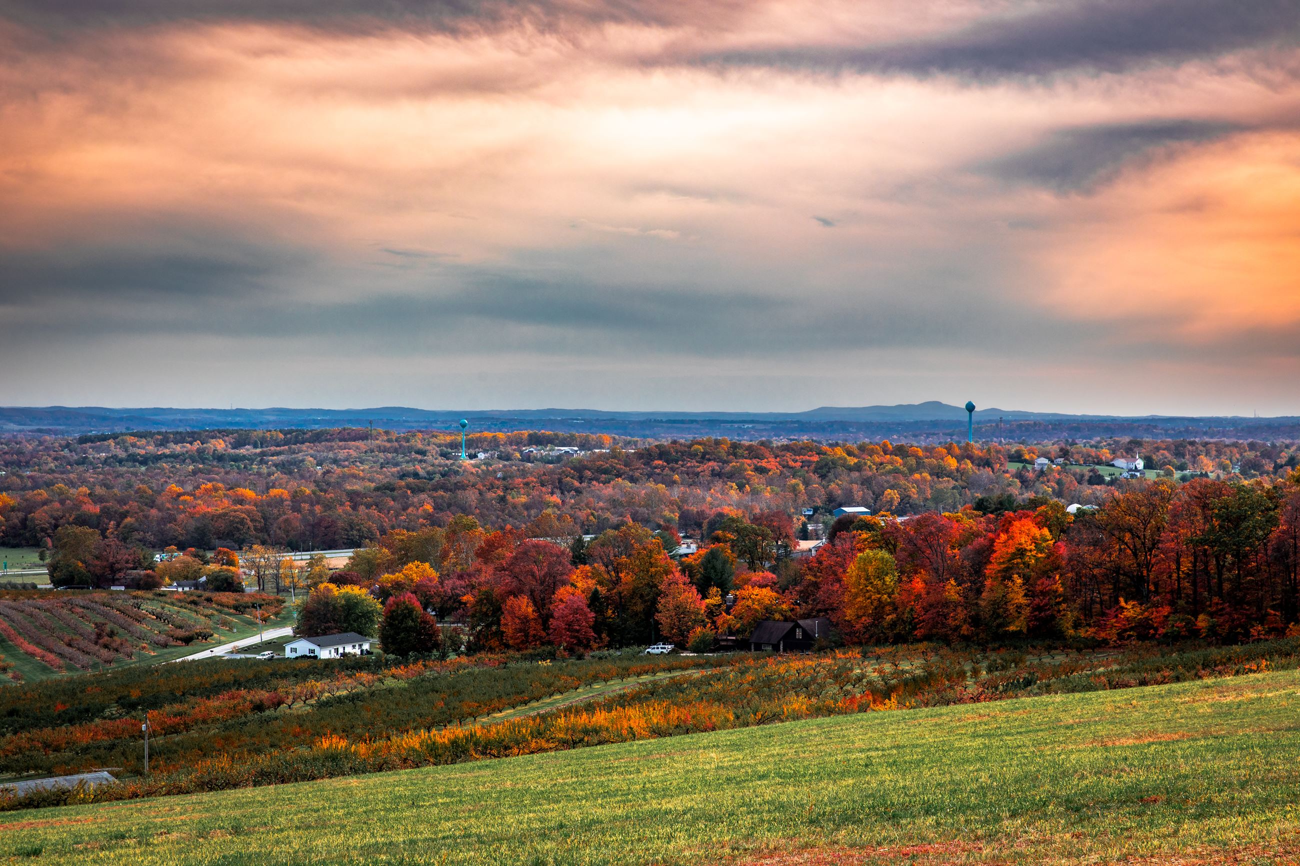 Farm Scene in the fall