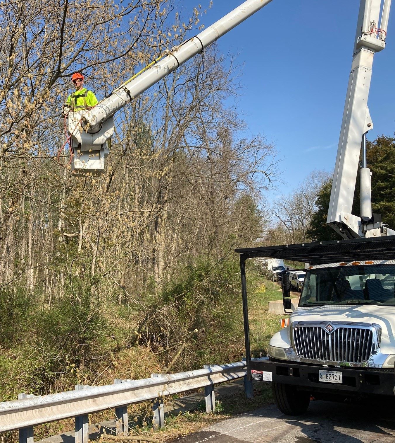A man trims trees from the bucket of a truck