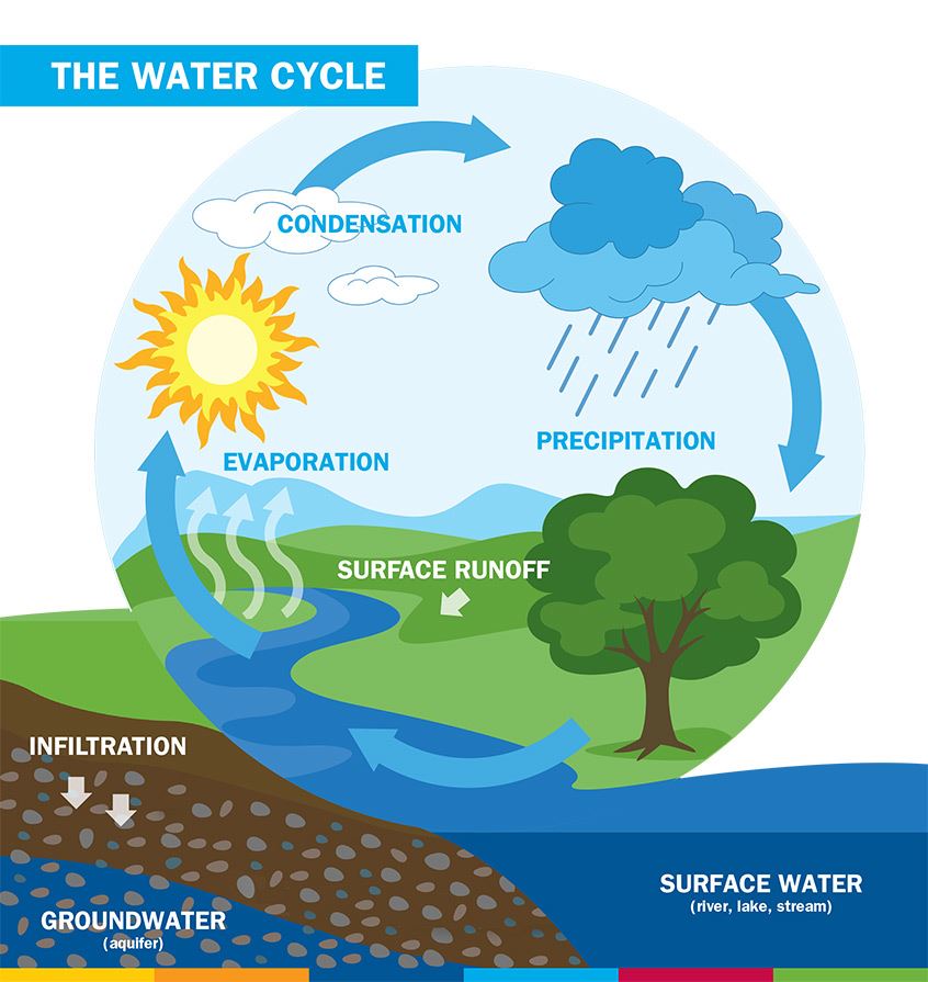An illustration of the water cycle