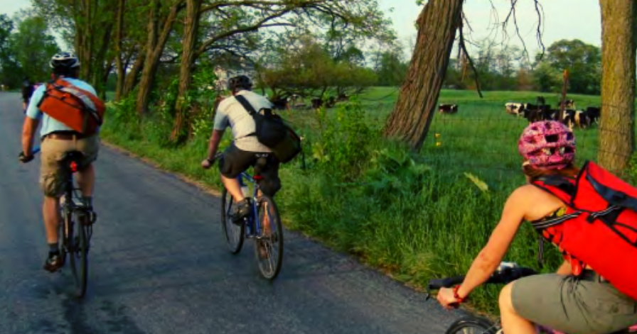 a group of people riding bikes outside with trees and grass in the background